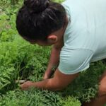 Incaper promove nas próximas semanas Dia Especial das Mulheres nos municípios de Alto Rio Novo e Itapemirim