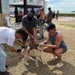 Itapemirim promove vacinação V8 para cães e reforça cuidados com a saúde animal